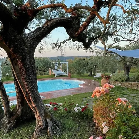 Villa Tognazzi - San Martino *