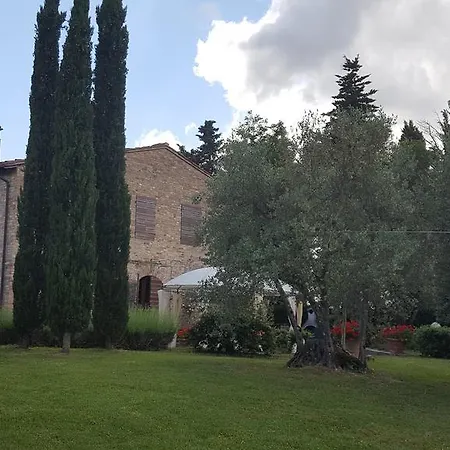 Tognazzi - San Martino *