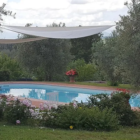 Tognazzi - San Martino فيلة *
