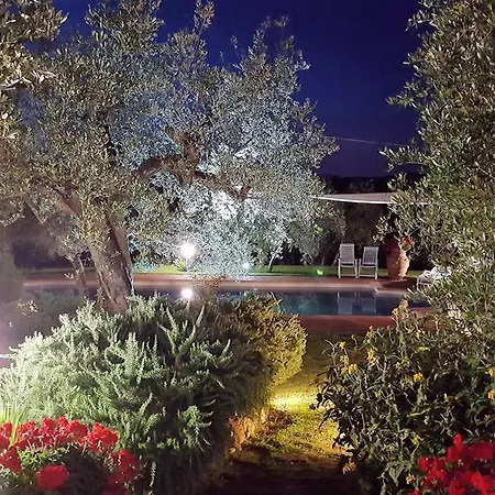 Tognazzi - San Martino * Villa del Monte
