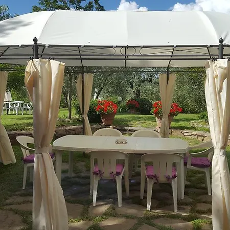 Tognazzi - San Martino Villa del Monte (Siena)
