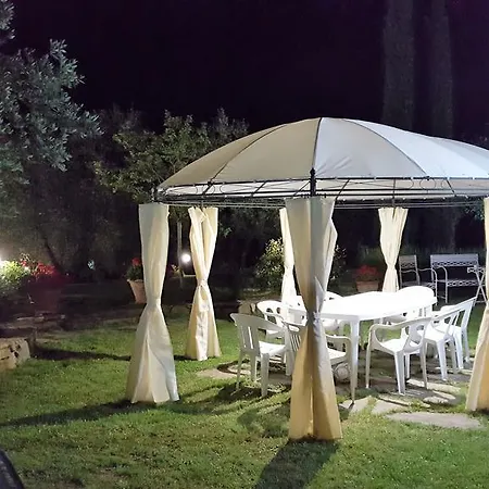 Tognazzi - San Martino *