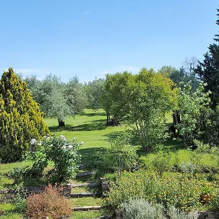 Tognazzi - San Martino Villa Villa del Monte