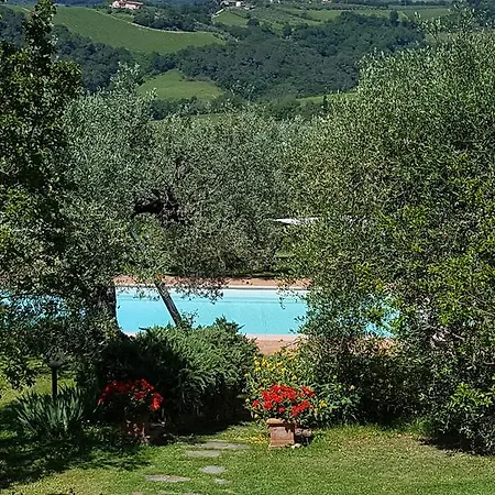 Villa Tognazzi - San Martino *