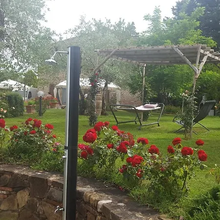 Tognazzi - San Martino Villa del Monte